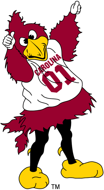 South Carolina Gamecocks 2002-Pres Mascot Logo diy DTF decal sticker